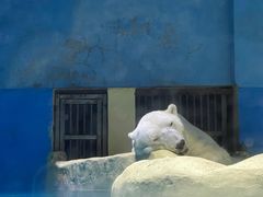 -大连圣亚海洋世界
