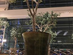 -RISE RESTAURANT(滨海湾金沙店)