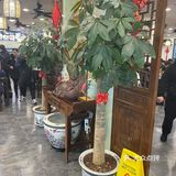 奥灶面 生意兴隆 好吃小贵