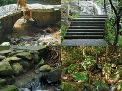 -东莞市大岭山森林公园