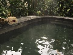 -龙山酒店温泉