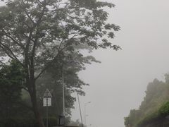 -火炉山森林公园