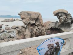 -野狸岛