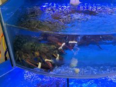 -008海鲜排档(朱家尖2号店)