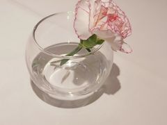 -眉州东坡(石景山店)