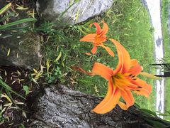 望津里精品酒店-乌镇望津里精品酒店