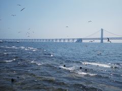 -星海广场