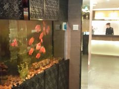 -华夏良子·足道SPA艾灸(王府井店)
