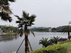 -枫香湖儿童公园