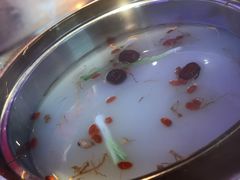 -千岛蚝高压锅生蚝·人参火锅(白云万达店)