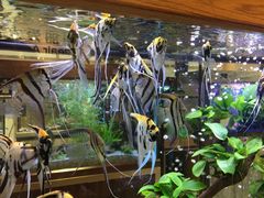 -青石桥市场北1-27号