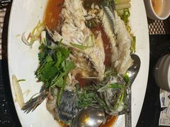 -金燕岛潮州酒楼