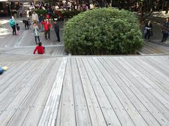 -东部华侨城