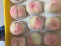 -老袁家蜜桃农场·阳山水蜜桃