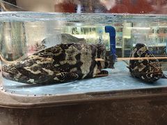 -阿伟海鲜楼·福建菜(延寿店)
