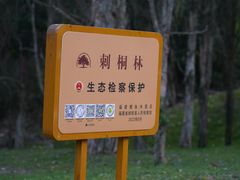 -福建鲤鱼洲酒店