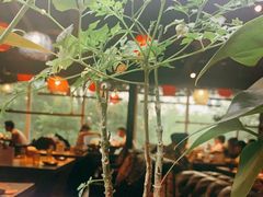-望京一号·重庆江湖菜(工体店)