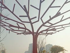 -状元人家·公园别墅衡东土菜(溪悦荟店)