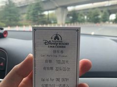 -迪士尼乐园停车场