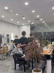 点击看大图 -藤野造型