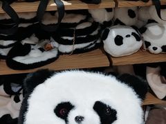 -武汉动物园