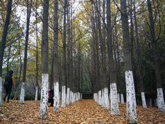 -白马涧龙池景区