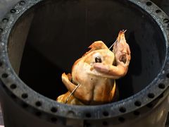 -芭厘·农庄老字号.电饭煲五指毛桃焗鸡