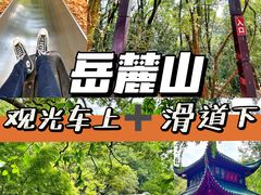 -岳麓山风景名胜区