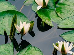 -长春公园(普阳街道)