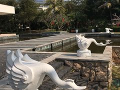 -采粤轩中餐厅(惠州金海湾喜来登度假酒店)