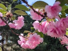 -东升八家郊野公园