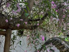 -深圳国际园林花卉博览园