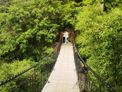 -秦岭终南山世界地质公园翠华山景区