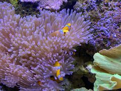 -多彩贵州城极地海洋世界