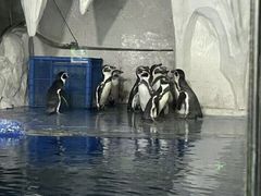 -太平洋海底世界