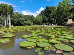 -中国科学院西双版纳热带植物园