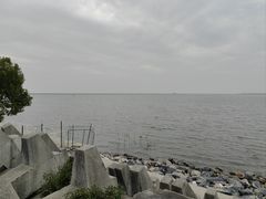 -碧海金沙