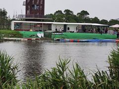 -春花秋色城市公园