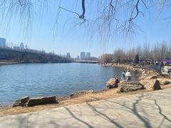 -护国法轮寺