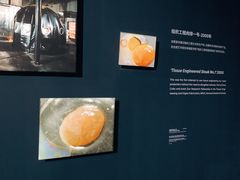 -现代汽车文化中心 Hyundai Motorstudio Beijing