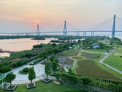 -芒洲湿地公园