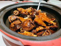 花菇煲狮头鹅掌翅煲-金海华·悦食东方(苏州中心商场店)