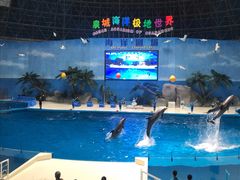 -泉城欧乐堡海洋极地世界