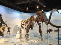 -辽宁古生物博物馆