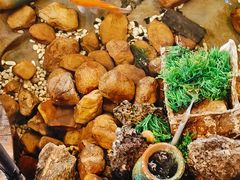 -威海九禧海鲜居渔水饺(经区店)