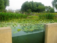 -昆山城市生态森林公园