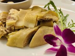 -新白鹿餐厅(第一百货店)
