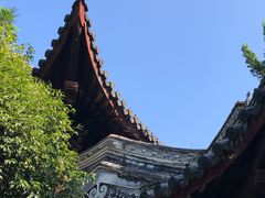 -秋霞圃