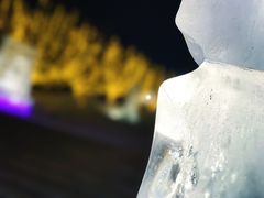 -长春世界雕塑园冰雪艺术天地
