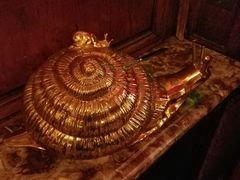 -金蜗牛